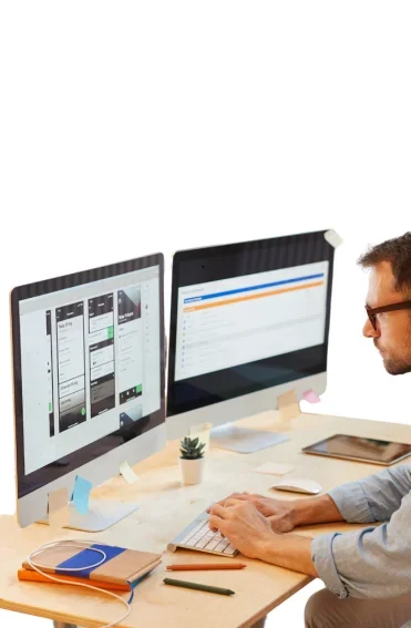 Enterprise Software Development